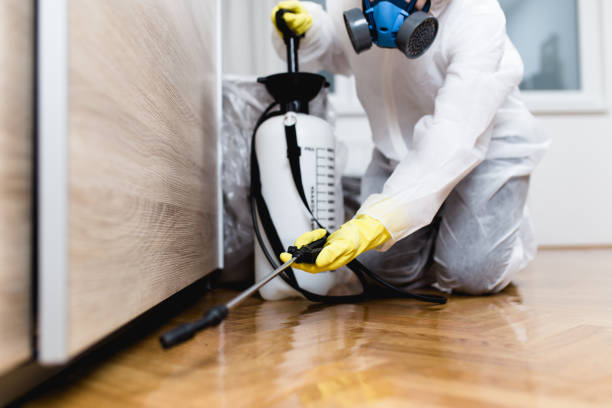 Best Affordable Pest Control Services  in Gleason, TN