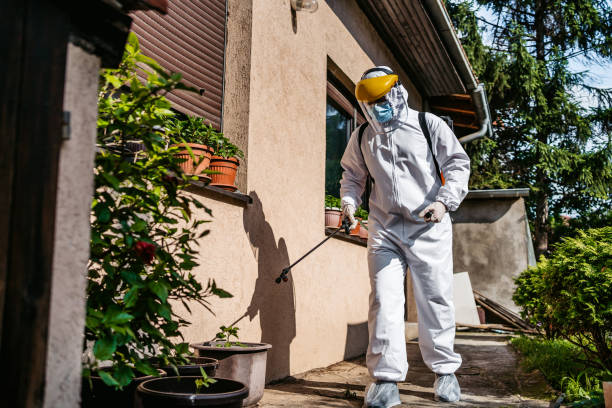Best Insect Control  in Gleason, TN