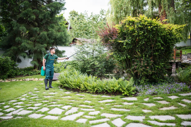 Best Local Pest Control Services  in Gleason, TN