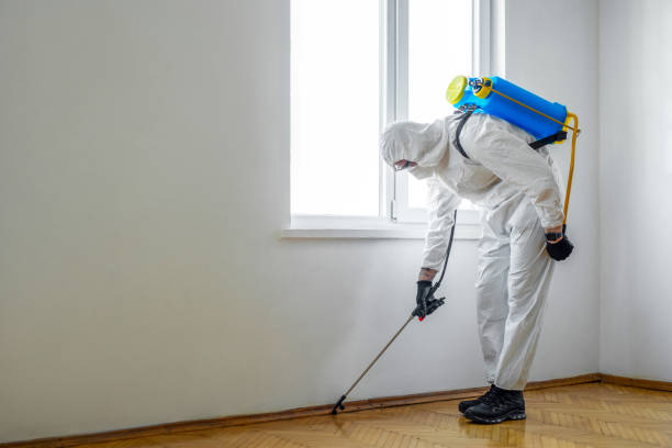 Best Local Pest Control Services  in Gleason, TN