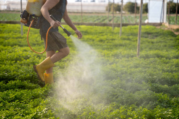Reliable Gleason, TN Pest Control Solutions