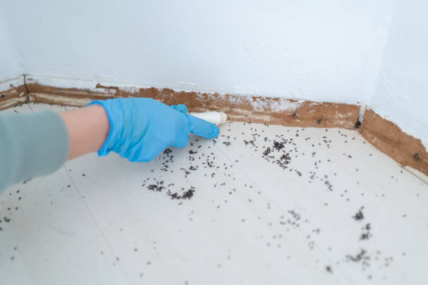 Best Commercial Pest Control Services  in Gleason, TN