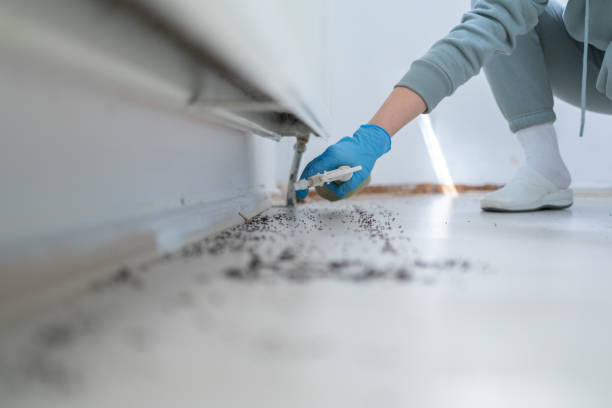 Best Affordable Pest Control Services  in Gleason, TN